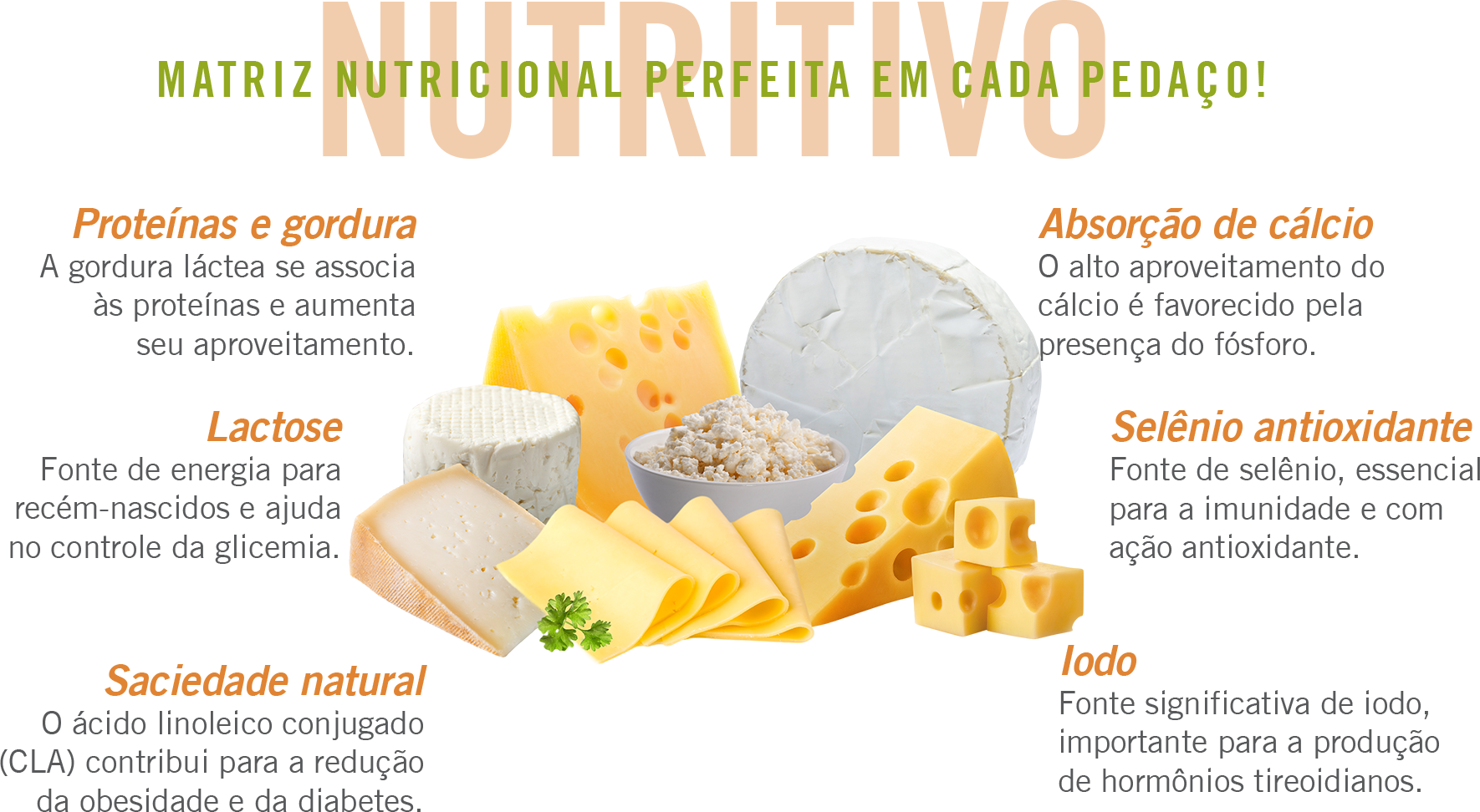 Tipos de queijo e benefícios